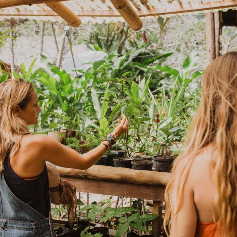 YAY Sustainable Resort