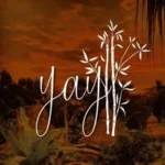 YAY Sustainable Hotel